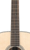 Neck